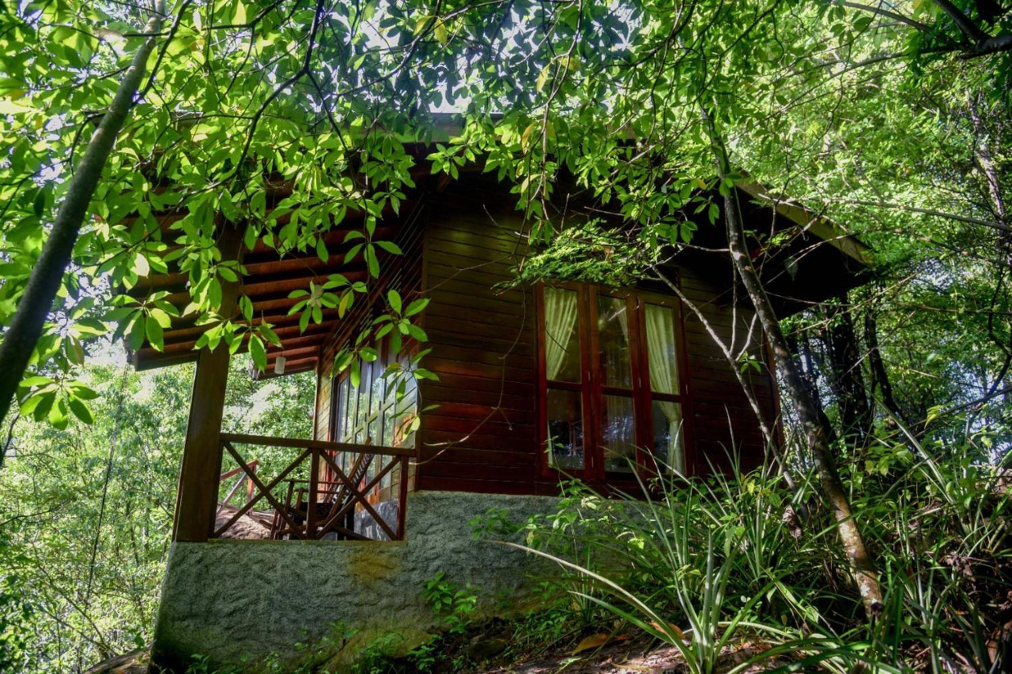 فندق Sinharaja Rest دينيايا المظهر الخارجي الصورة
