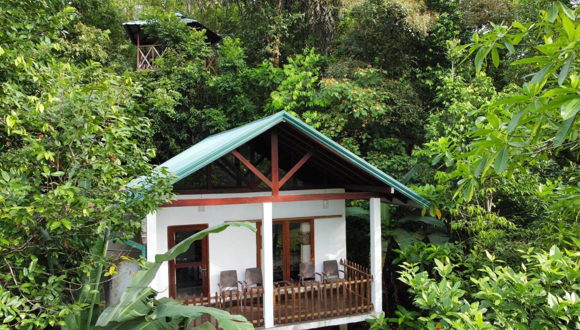 فندق Sinharaja Rest دينيايا المظهر الخارجي الصورة